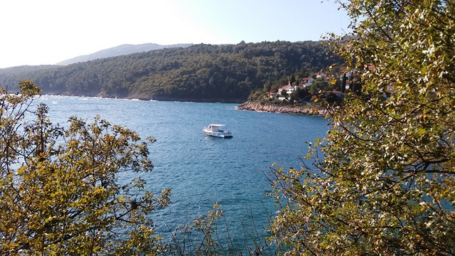 [Rozmiar: 122348 bajt�w]